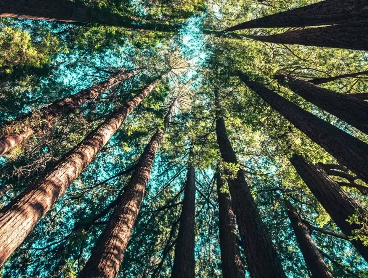 El problema de la uniformidad de la naturaleza